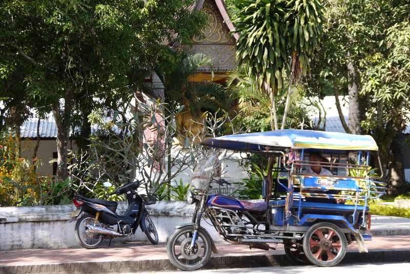 Tuk Tuk Driver in Laos